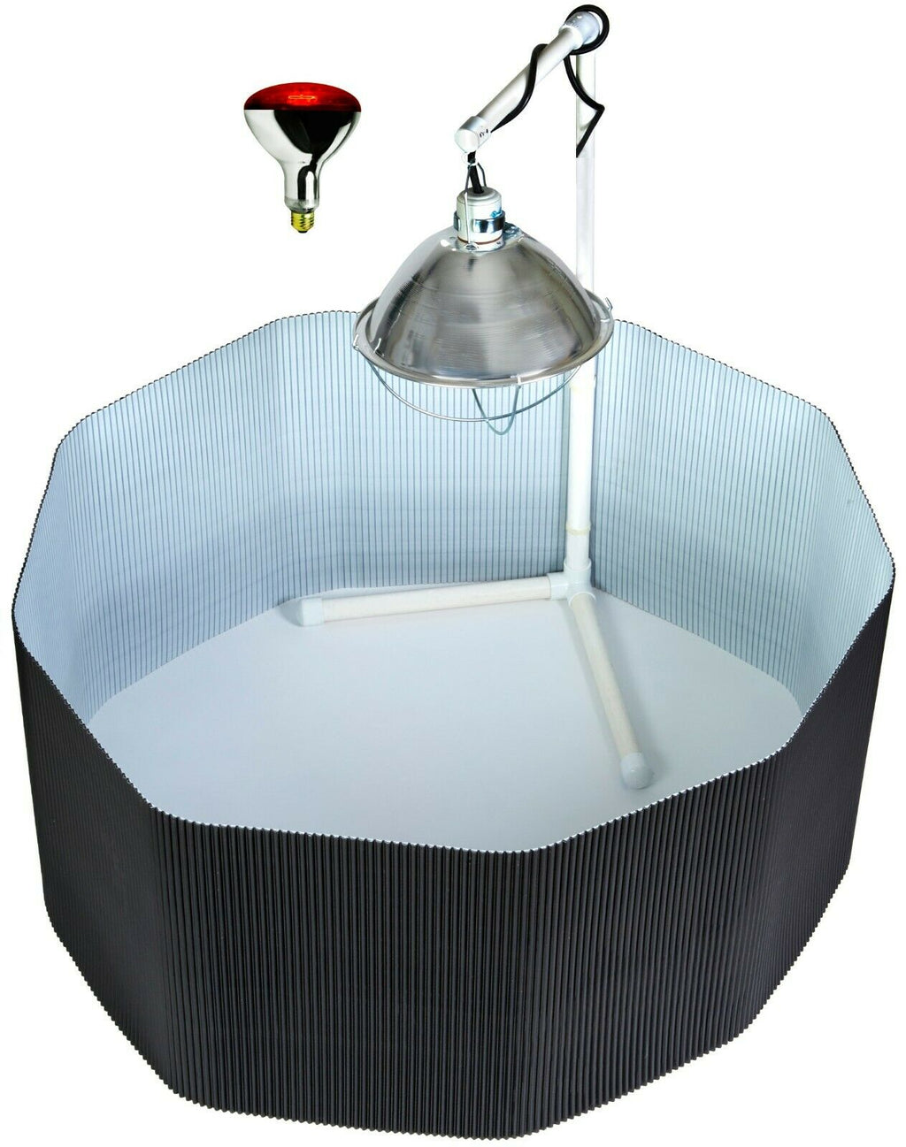 Deluxe Chick Brooder Kit With Corral, Lamp Stand, Lamp, & Bulb