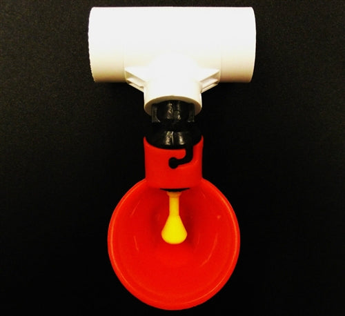 Automatic poultry chicken drinker cup & 1/2" PVC Tee