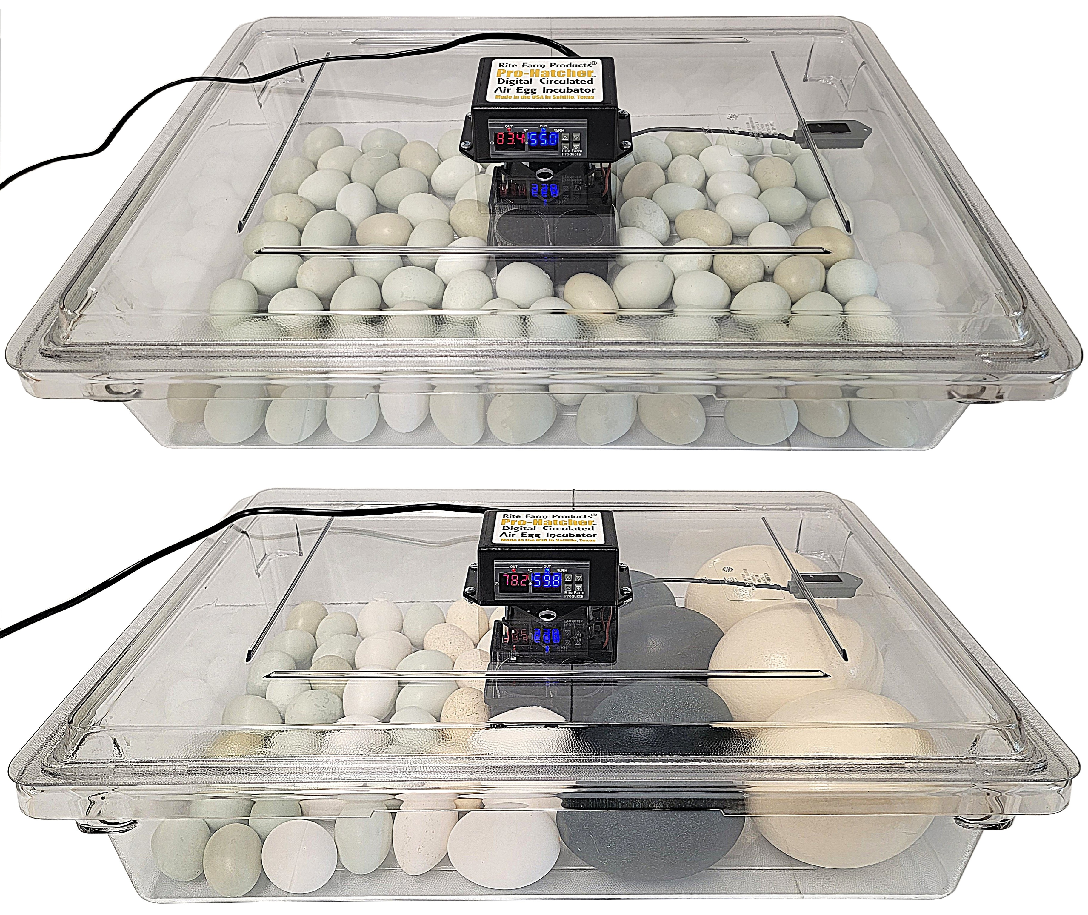 Rite Farm Products PRO Hatcher Incubator for Egg Tray Transfer from Cabinet Incubators