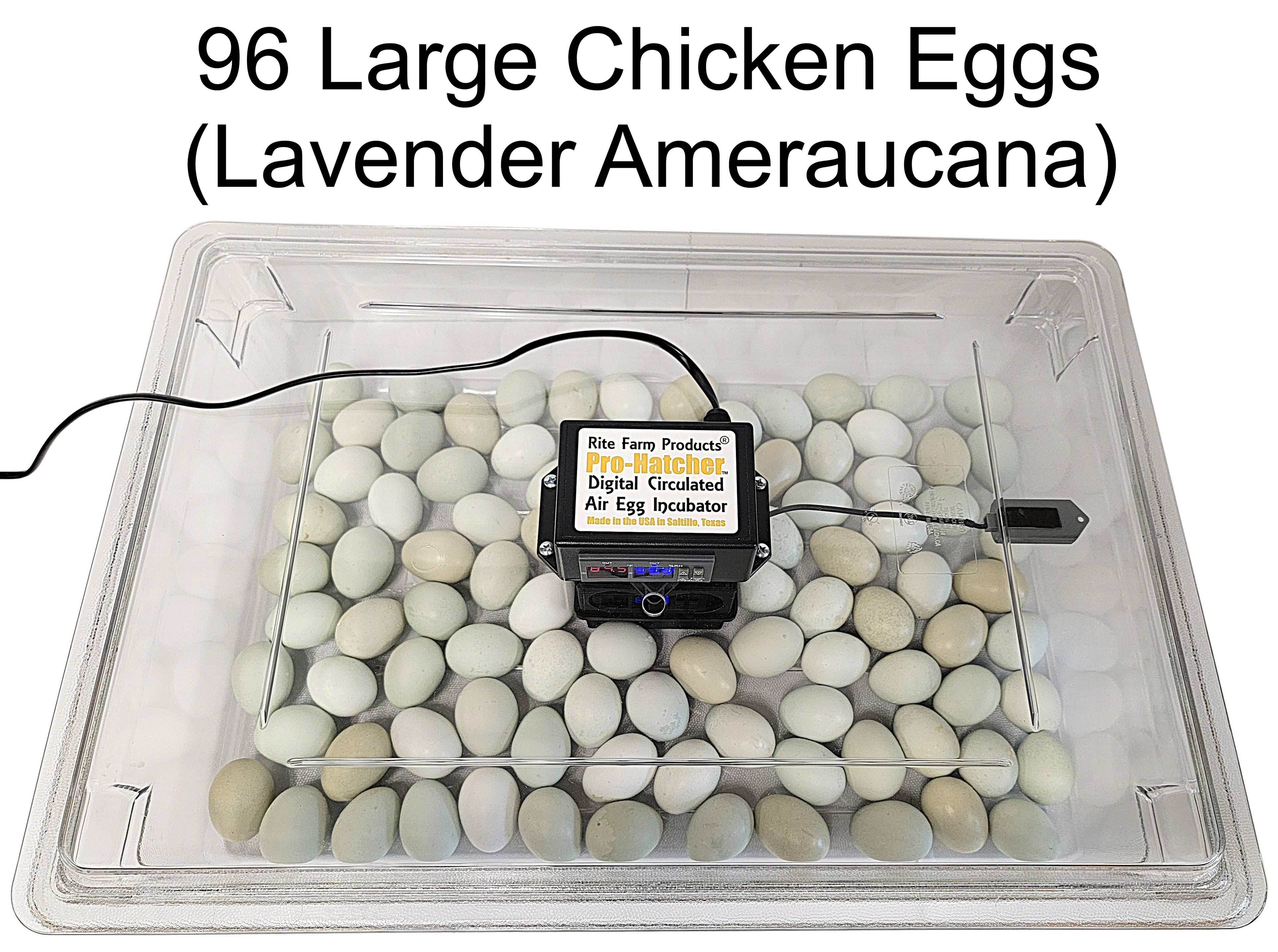 Rite Farm Products PRO Hatcher Incubator for Egg Tray Transfer from Cabinet Incubators