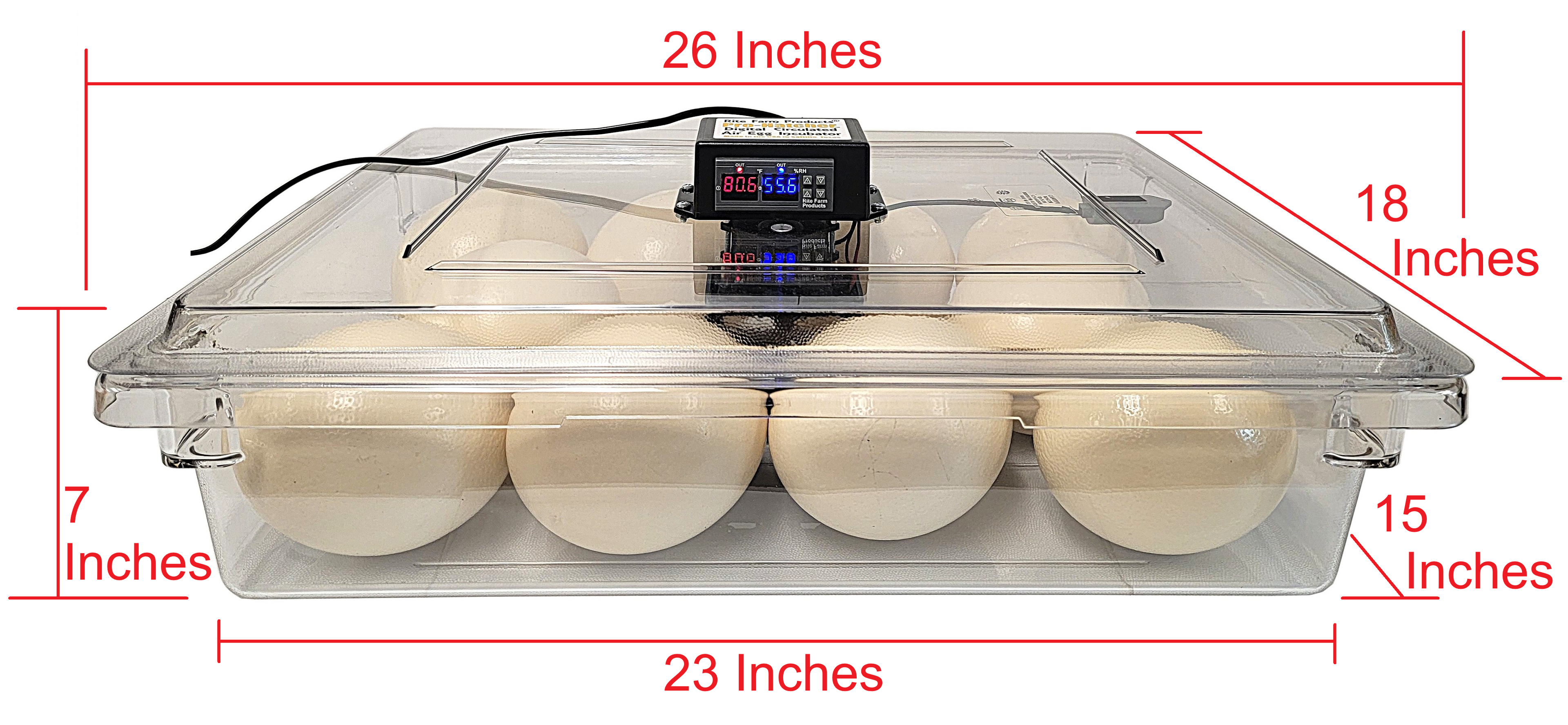 Rite Farm Products PRO Hatcher Incubator for Egg Tray Transfer from Cabinet Incubators