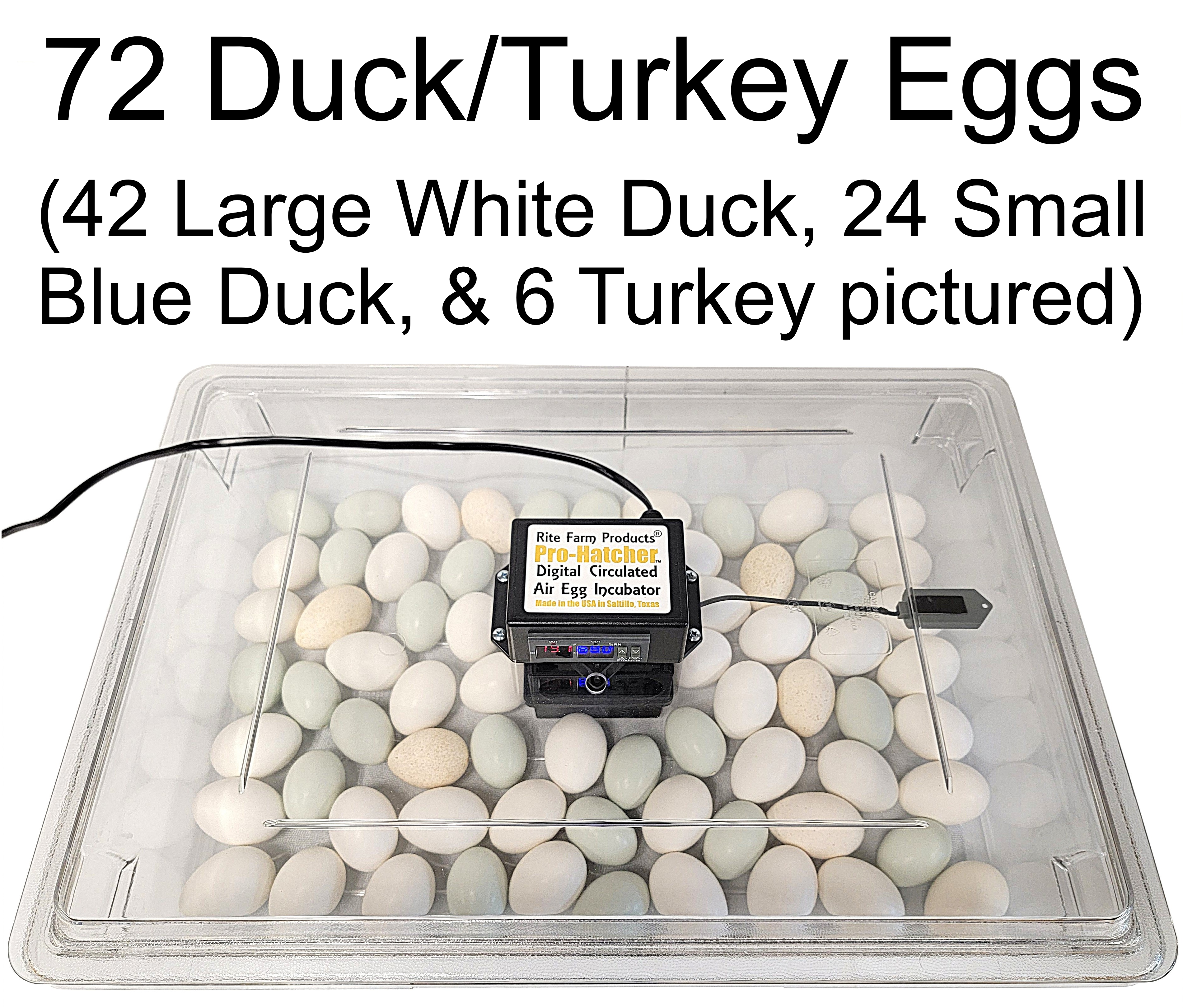 Rite Farm Products PRO Hatcher Incubator for Egg Tray Transfer from Cabinet Incubators