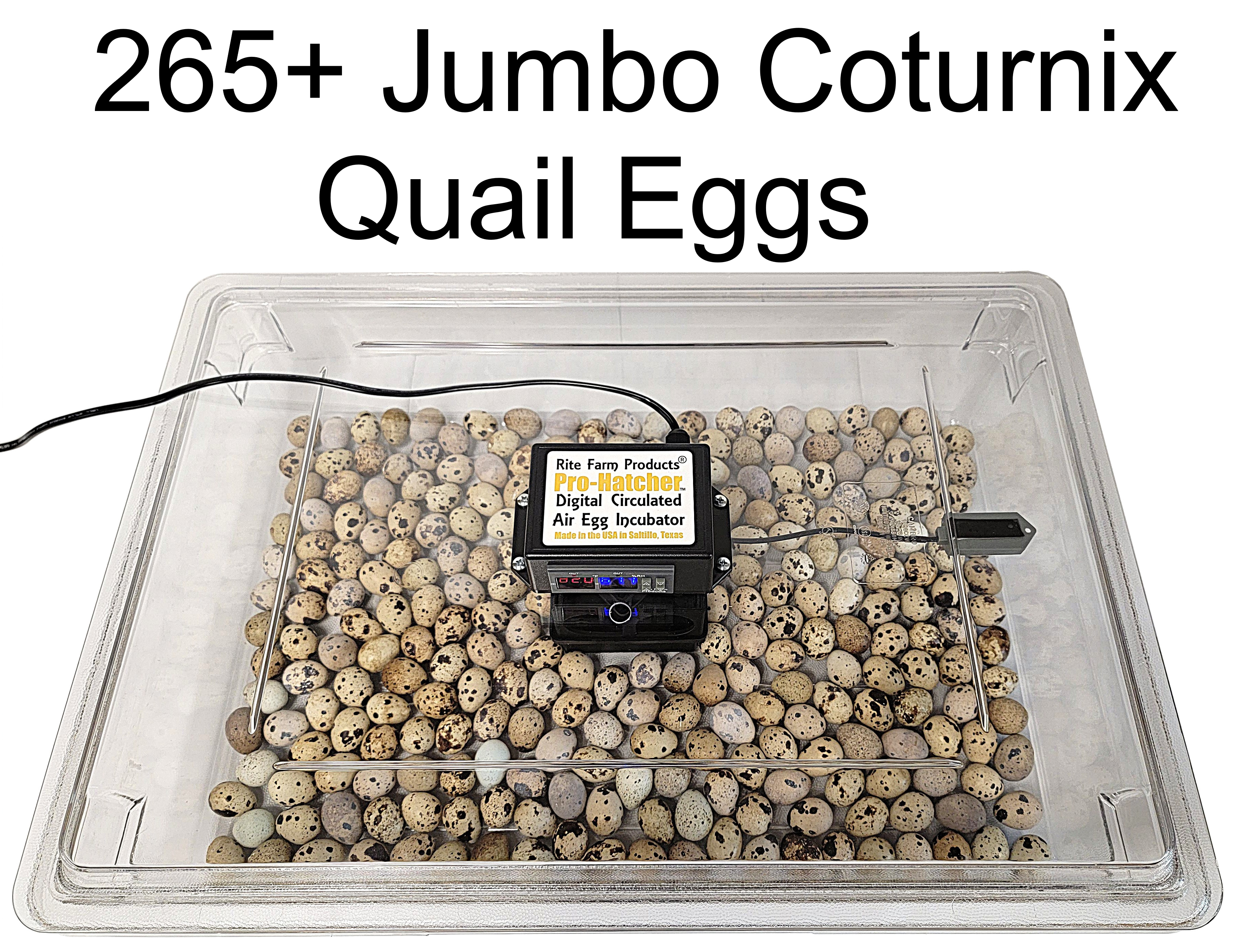 Rite Farm Products PRO Hatcher Incubator for Egg Tray Transfer from Cabinet Incubators