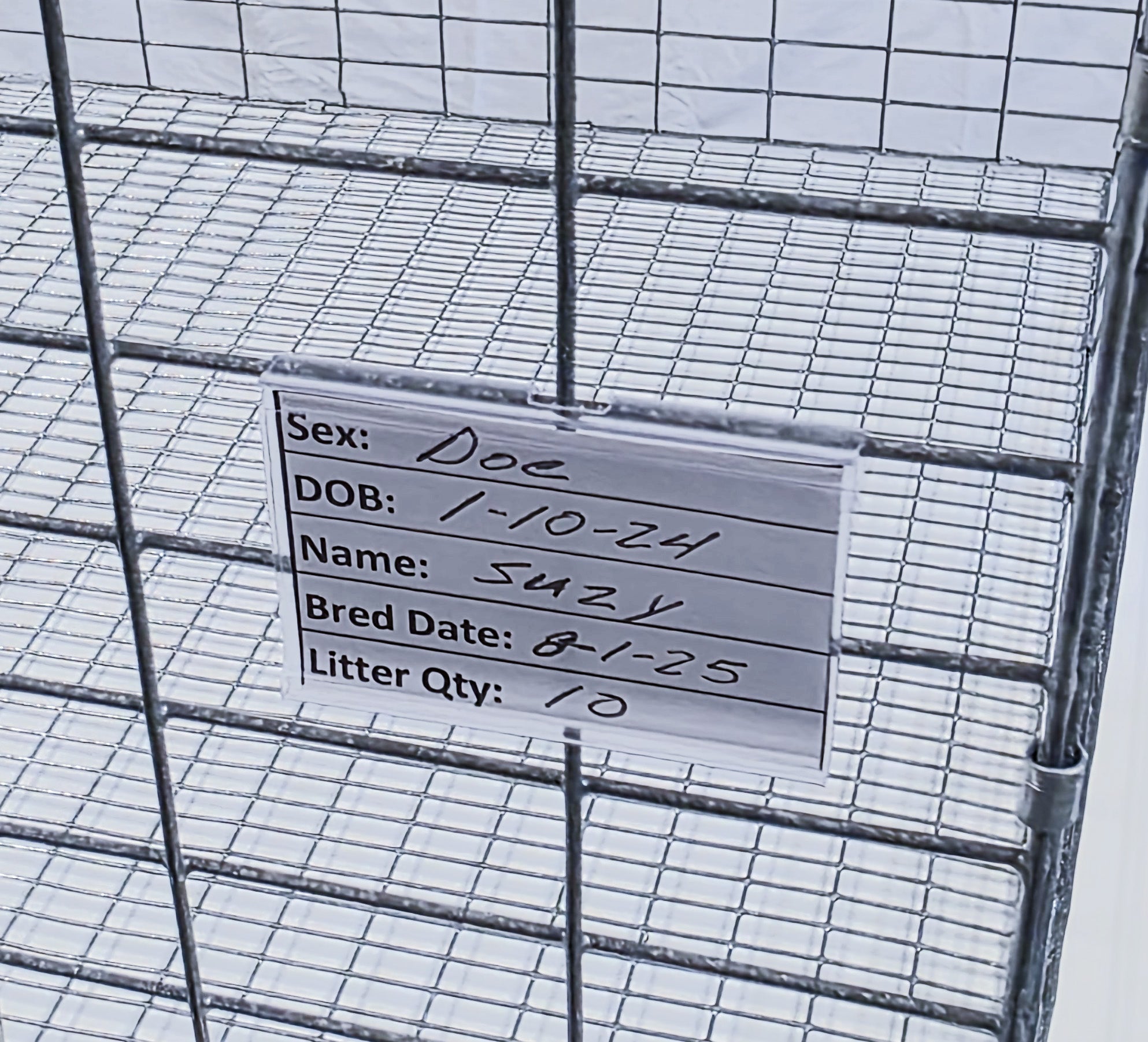 Texas USA Made 6-Inch Cage Hanging Rabbit Feeder with ID Tag for Rabbit Pellet Feed with a Sifter Base