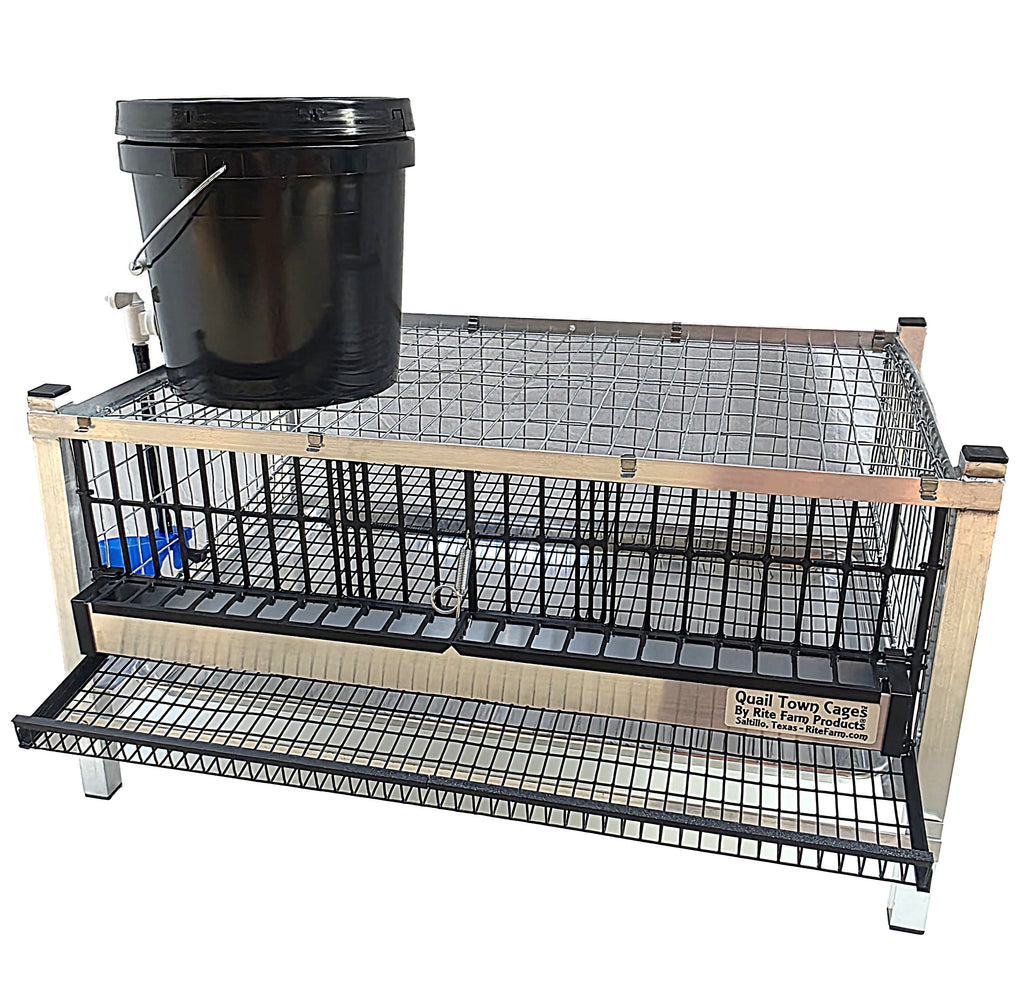 Quail Town Cages by Rite Farm Products - Pro Modular Layer Cage with Egg Rollout