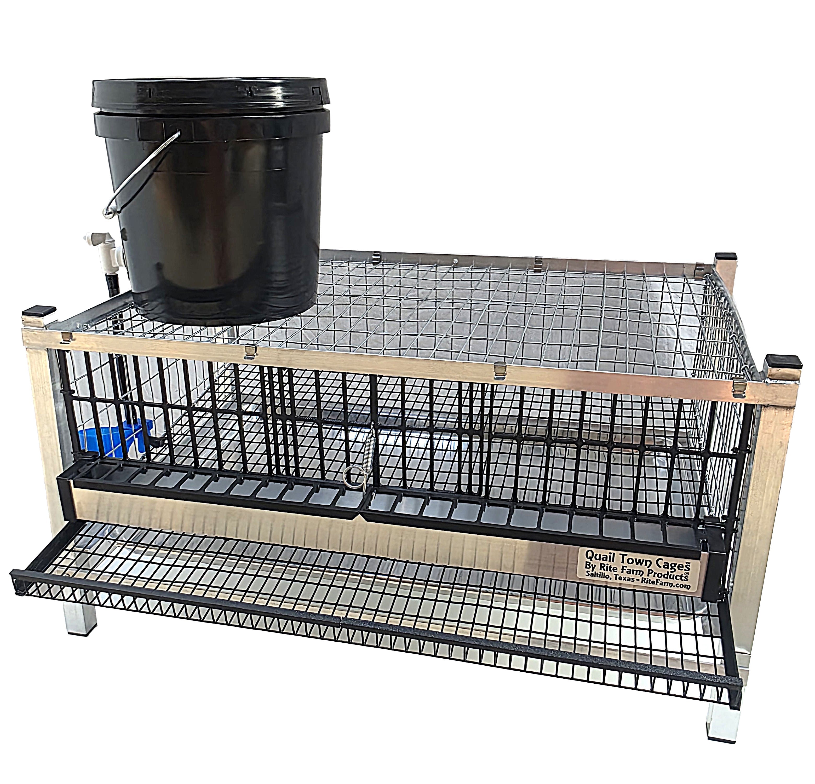 Quail Town Cages by Rite Farm Products - Pro Modular Layer Cage with Egg Rollout