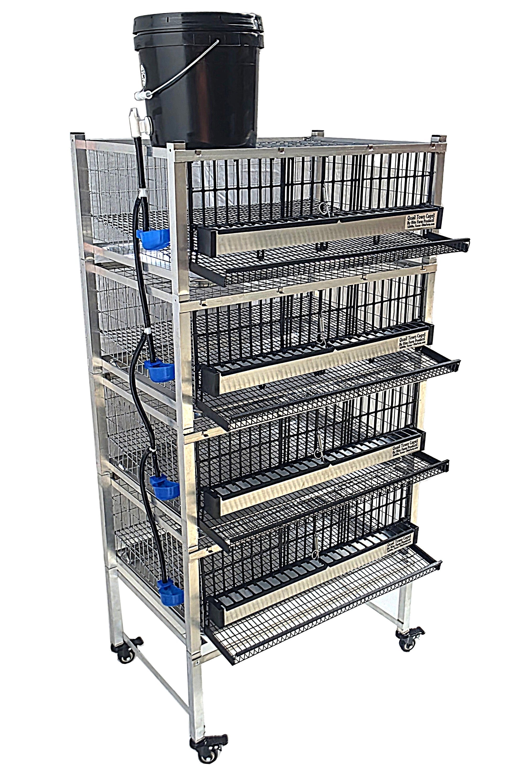 Quail Town Cages by Rite Farm Products - Pro Modular Quail Grow Out & Layer Cage Tower System Transparent Reservoir