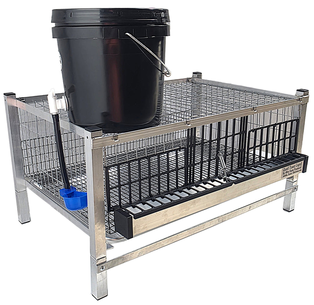 Quail Town Cages by Rite Farm Products - Pro Modular Quail Grow Out Cage