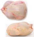 9"x16" Poultry Shrink Bags Chicken Freezer