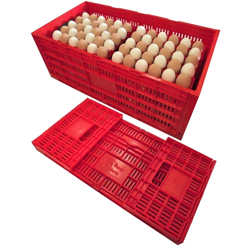 Rite Farm Products Chicken Egg Transport Crate
