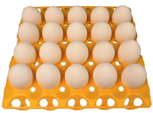 Rite Farm Products 20 Egg Capacity Duck, Goose, Turkey, & Peafowl Size Trays