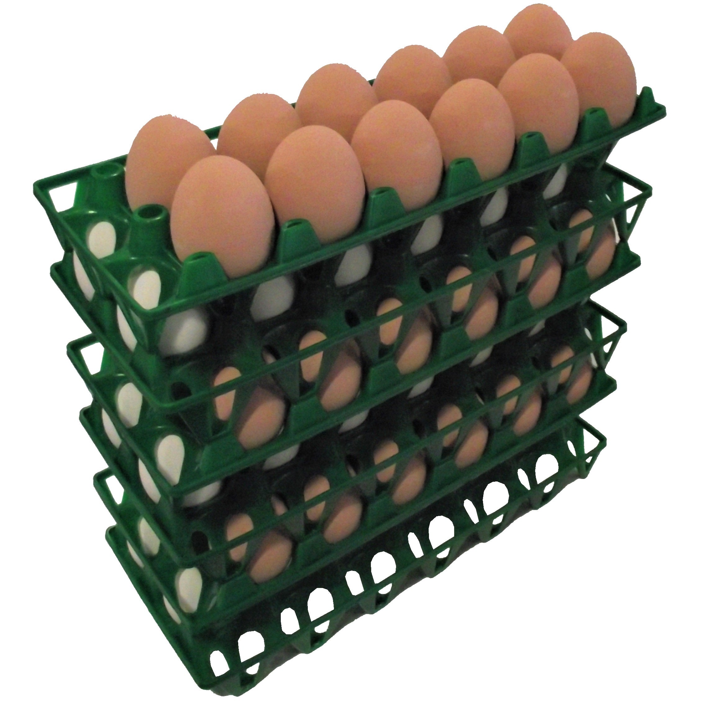 Rite Farm Products 12 Chicken Egg Poly Trays