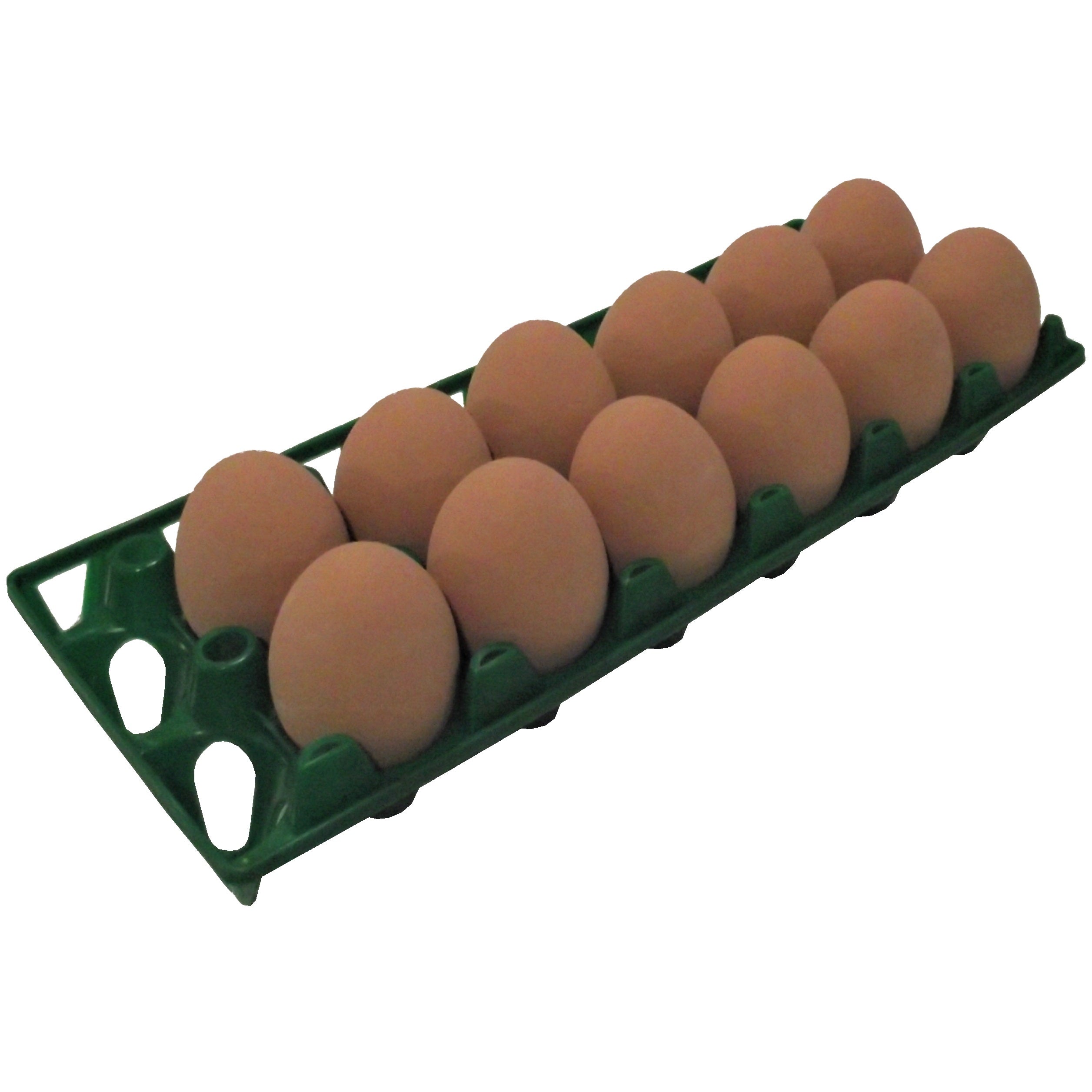 Rite Farm Products 12 Chicken Egg Poly Trays